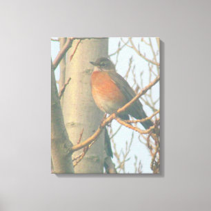 Canvas - Winter Robin
