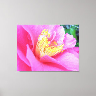 Canvas - Wrapped - Full Bloom Dark Pink Camellia
