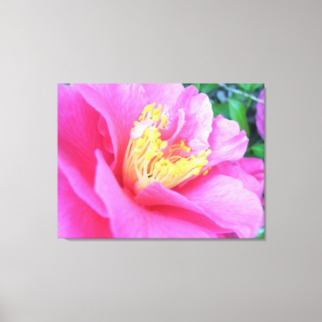 Canvas - Wrapped - Full Bloom Dark Pink Camellia (Front)
