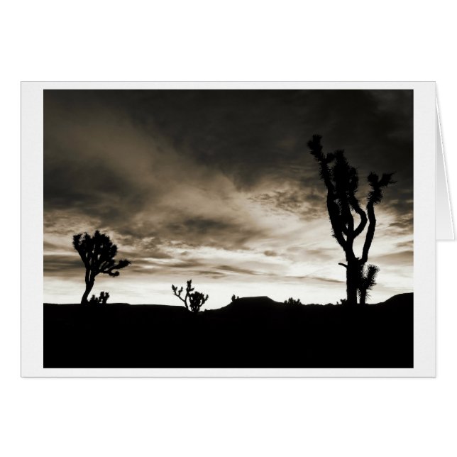 Canyon de Pipes (Devant horizontal)