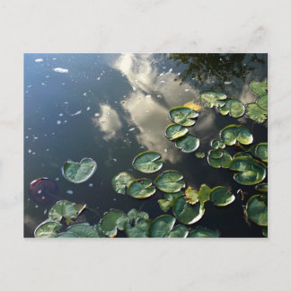 Canyon Lakes Postcard