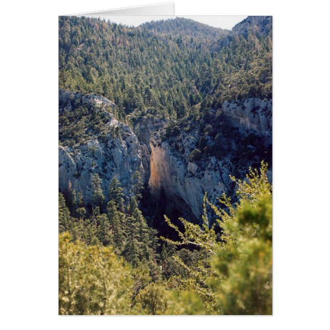 Canyon Lumière (Devant)