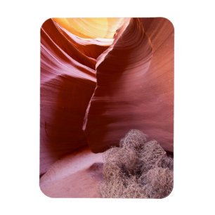 Canyon of many colours magnet
