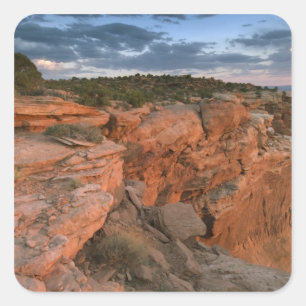 Canyon overlook in the Island in the sky Square Sticker