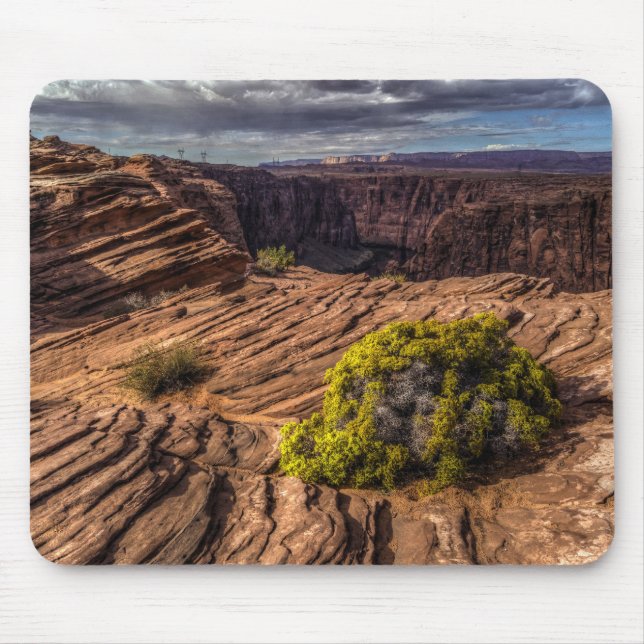 Canyon Resilience Mousepad (Front)