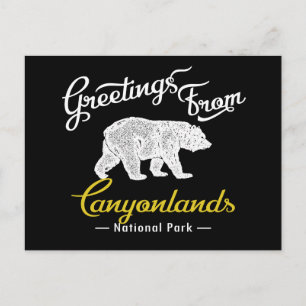 Canyonlands National Park Bear Postcard