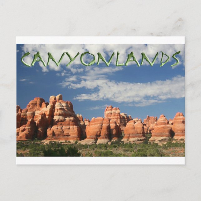 Canyonlands National Park Postcard (Front)