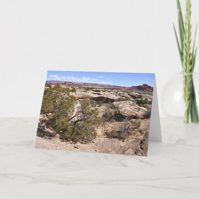 Canyonlands View from Cave Springs Trail Card (Front)
