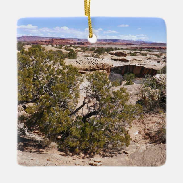 Canyonlands View from Cave Springs Trail Ceramic Ornament (Front)