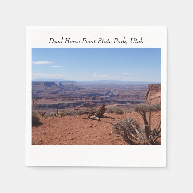 Canyons at Dead Horse Point State Park Napkin (Front)