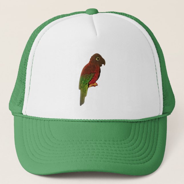 CAP ART AND DESIGN STYLE  (Front)