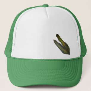CAP ART AND DESIGN STYLE