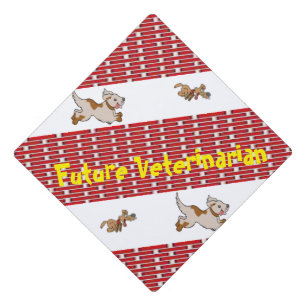Cap Topper Veterinarian