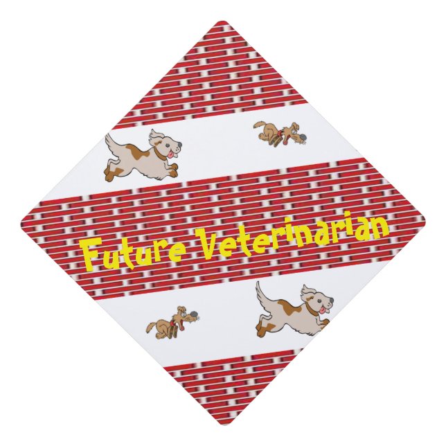 Cap Topper Veterinarian (Front)