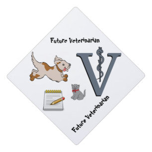 Cap Topper Veterinarian
