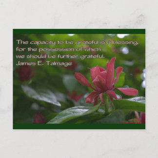 capacity to be grateful postcard