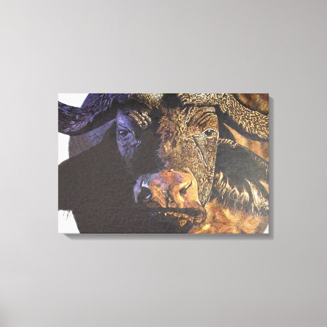 Cape Buffalo Canvas Print (Front)
