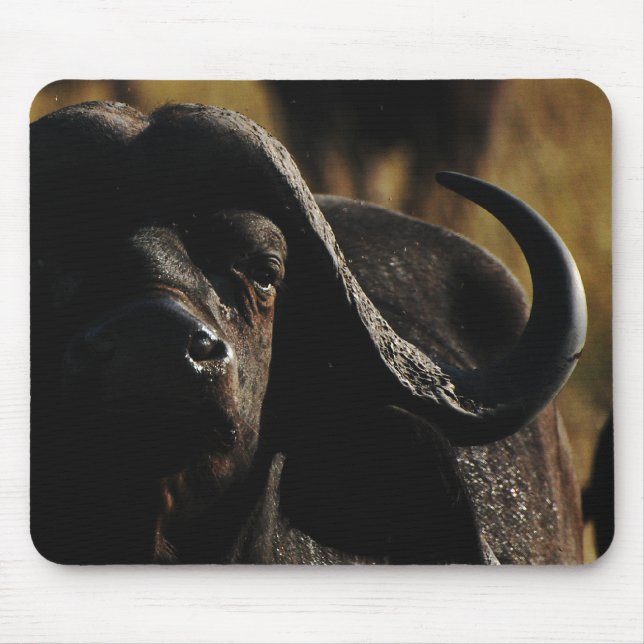 Cape Buffalo exclusive designer mousemats Mouse Pad (Front)