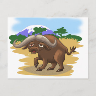 Cape Buffalo Postcard