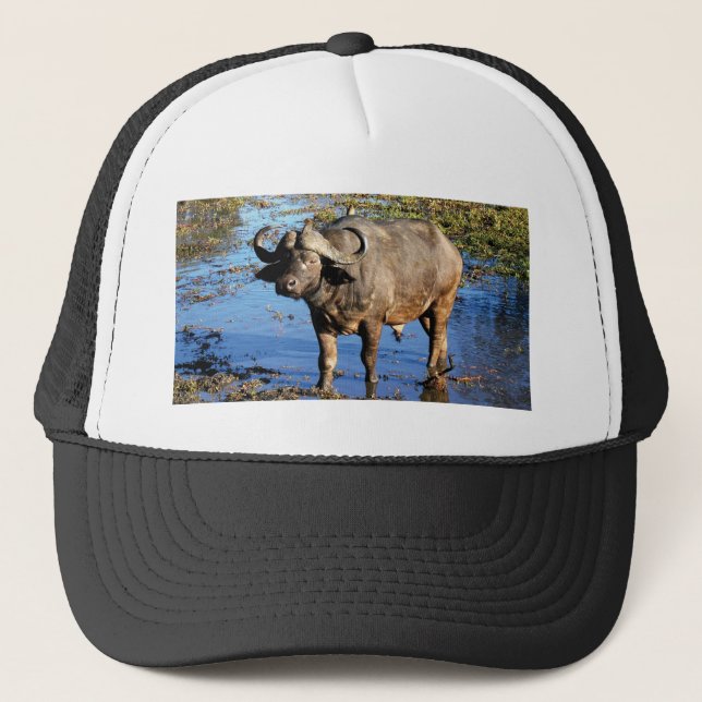 Cape Buffalo safari hats & caps (Front)