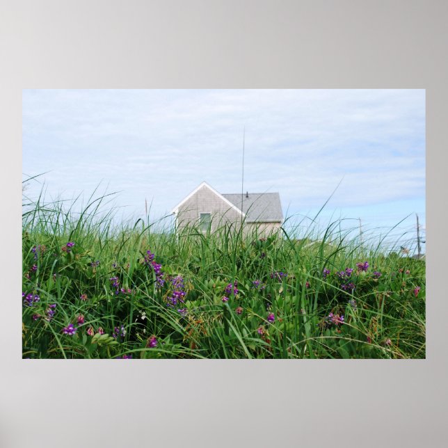 Cape Cod Beach House Poster (Front)