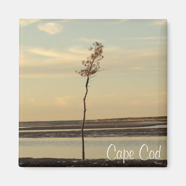 Cape Cod Beach Relaxant Sunset Photo Magnet (Devant)