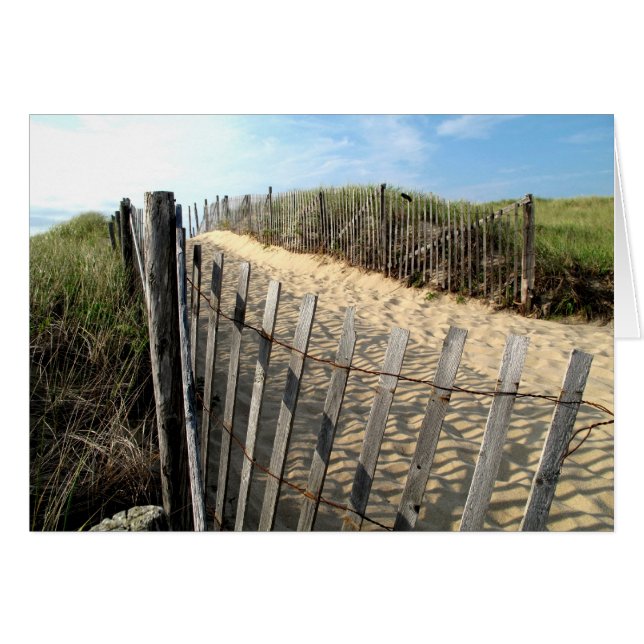 Cape Cod Dune Fencing (Front Horizontal)