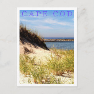 Cape Cod Dune Postcard