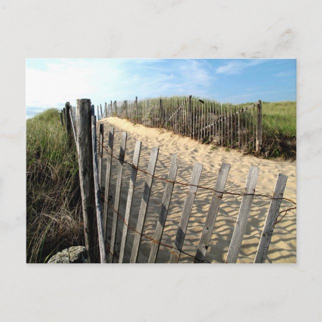 Cape Cod Dunes Postcard (Front)