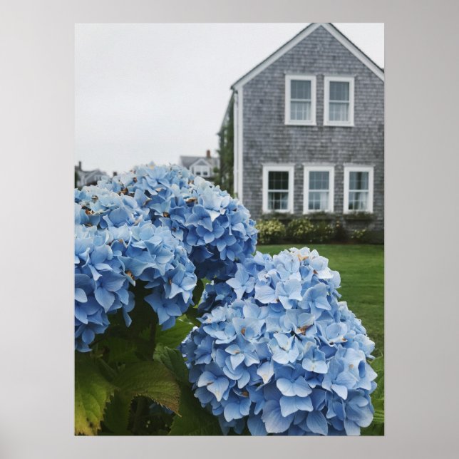 Cape Cod Hydrangea Home  Poster (Front)