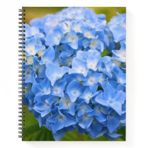 CAPE COD HYDRANGEA NOTEBOOK