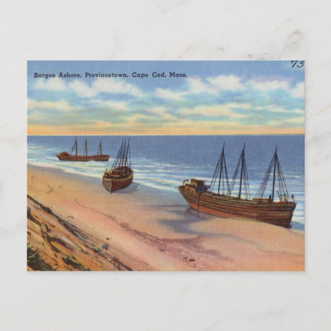 Cape Cod Massachusetts Vintage Postcard (Front)