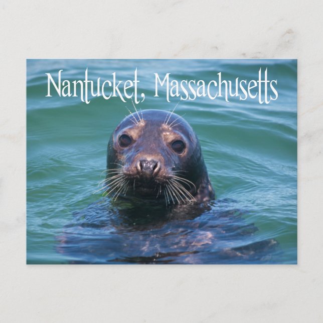 Cape Cod, Nantucket, Massachusetts Seal Postcard (Front)