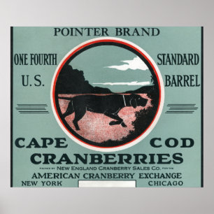 Cape Cod Pointer Brand Cranberry Label Poster