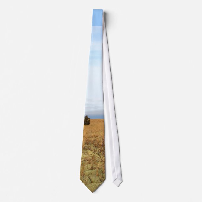 Cape Cod Salt Marsh Tie (Front)