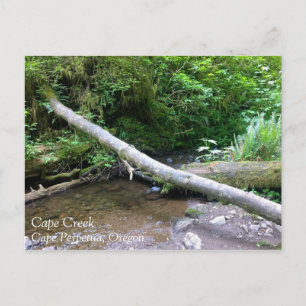 Cape Creek, Cape Perpetua, Oregon Postcard