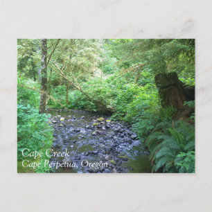 Cape Creek, Cape Perpetua, Oregon Postcard