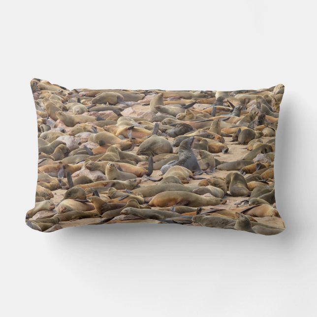 Cape Cross Seal Reserve Lumbar Pillow (Front)