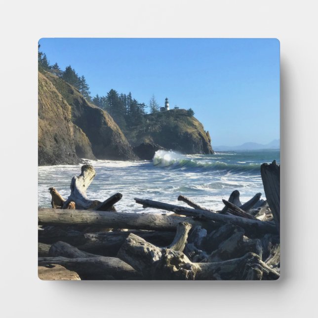 Cape Disappointment Lighthouse, Washington Plaque (Front)