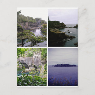 Cape Flattery collage Postcard