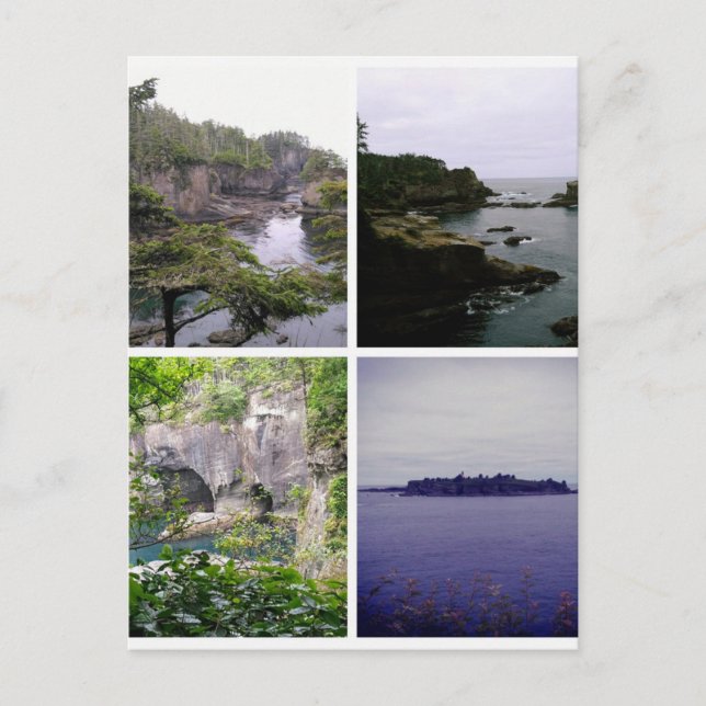 Cape Flattery collage Postcard (Front)