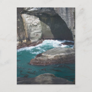 Cape Flattery Washington State Postcard