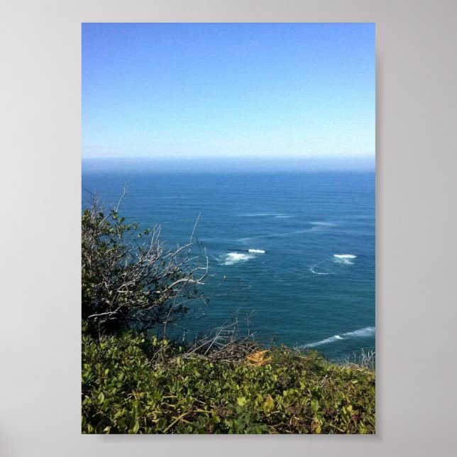 Cape Foulweather, Oregon Poster (Front)