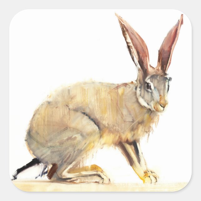 Cape Hare 2010 2 Square Sticker (Front)