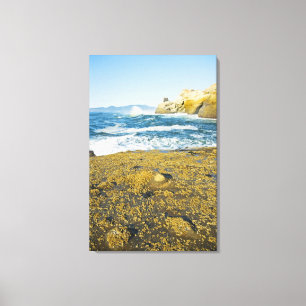 Cape Kiwanda And The Pacific Ocean 2 Canvas Print