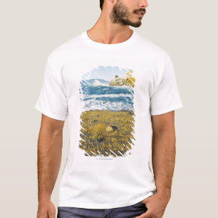 Cape Kiwanda And The Pacific Ocean T-Shirt