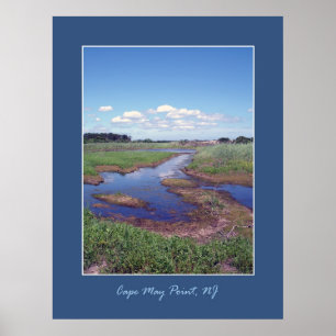 Cape May Point Poster