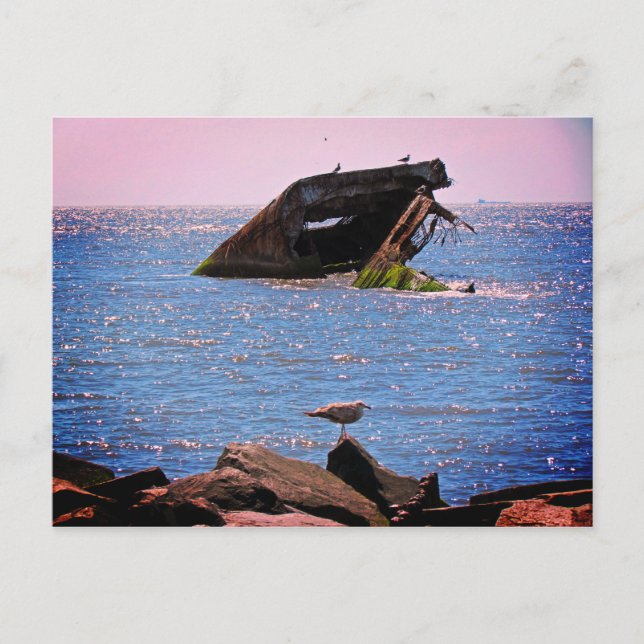 Cape May Shipwreck Postcard (Front)