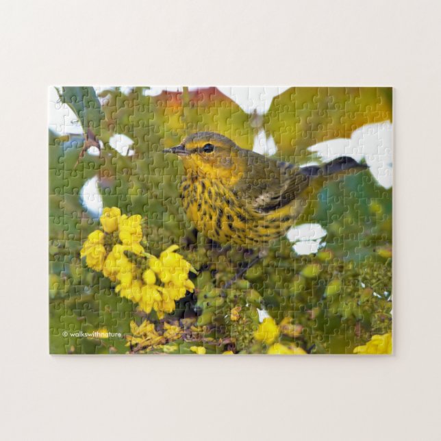 Cape May Warbler Songbird with Flowering Mahonia Jigsaw Puzzle (Horizontal)