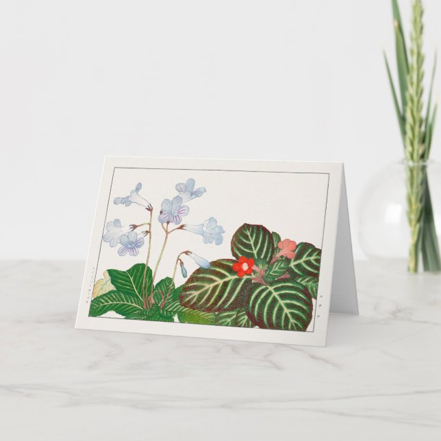 Cape primrose, Flame violet by Tanigami Konan Card (Front)